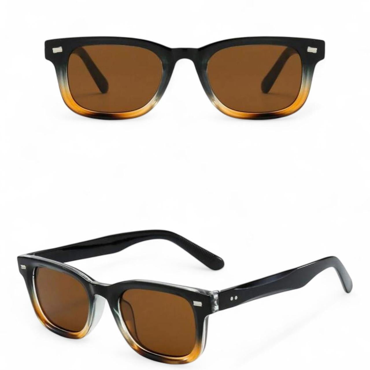 Black & Brown Wayfarer Sunglasses