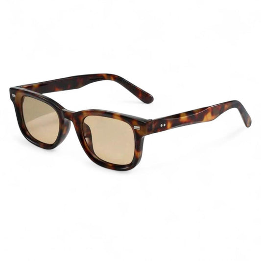Brown Tortoise Shell Wayfarer Sunglasses