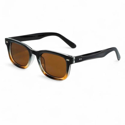 Black & Brown Wayfarer Sunglasses