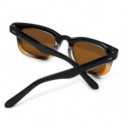 Black & Brown Wayfarer Sunglasses