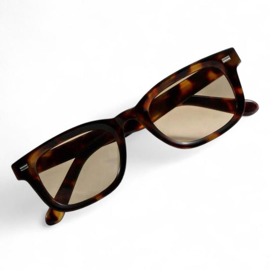 Brown Tortoise Shell Wayfarer Sunglasses