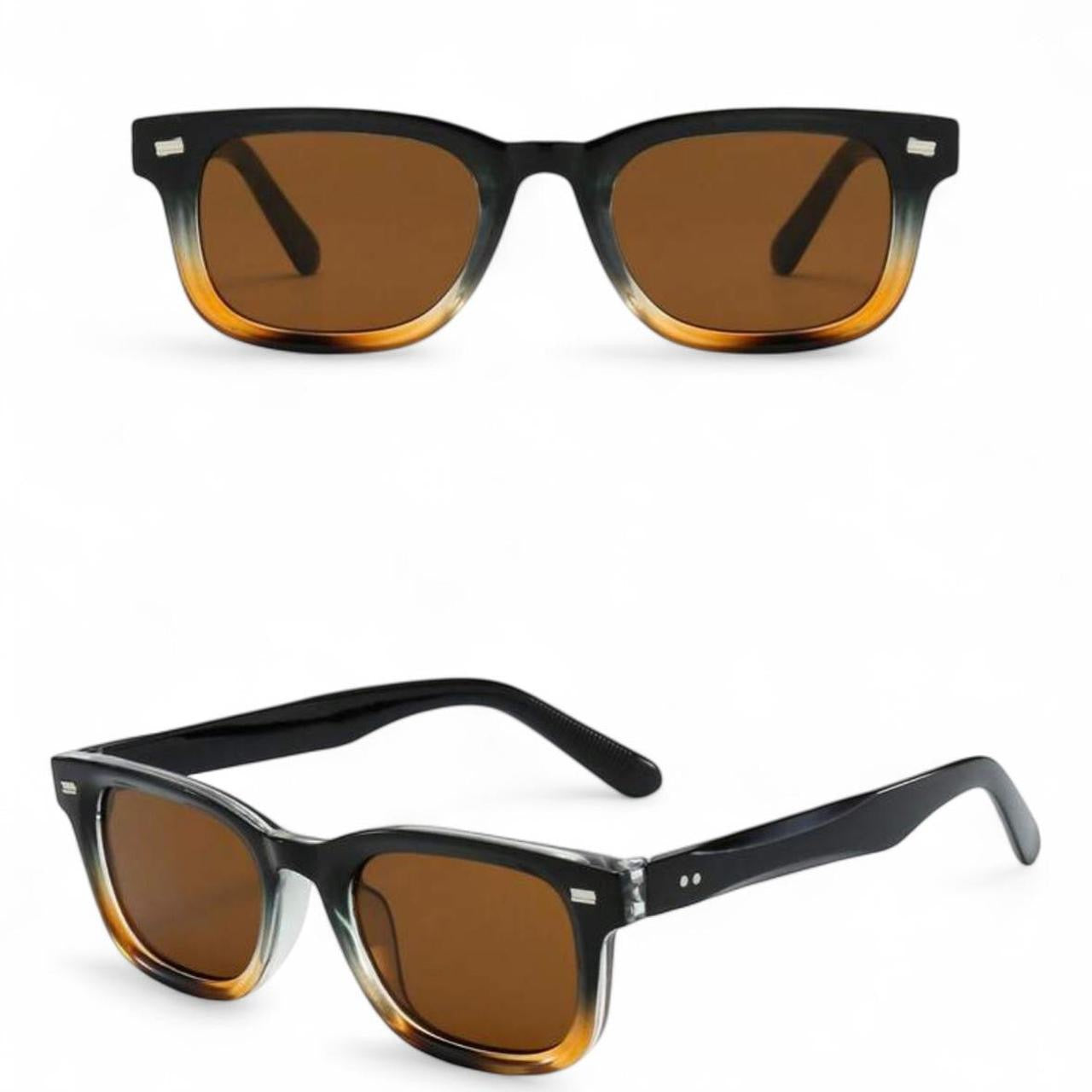 Black & Brown Wayfarer Sunglasses