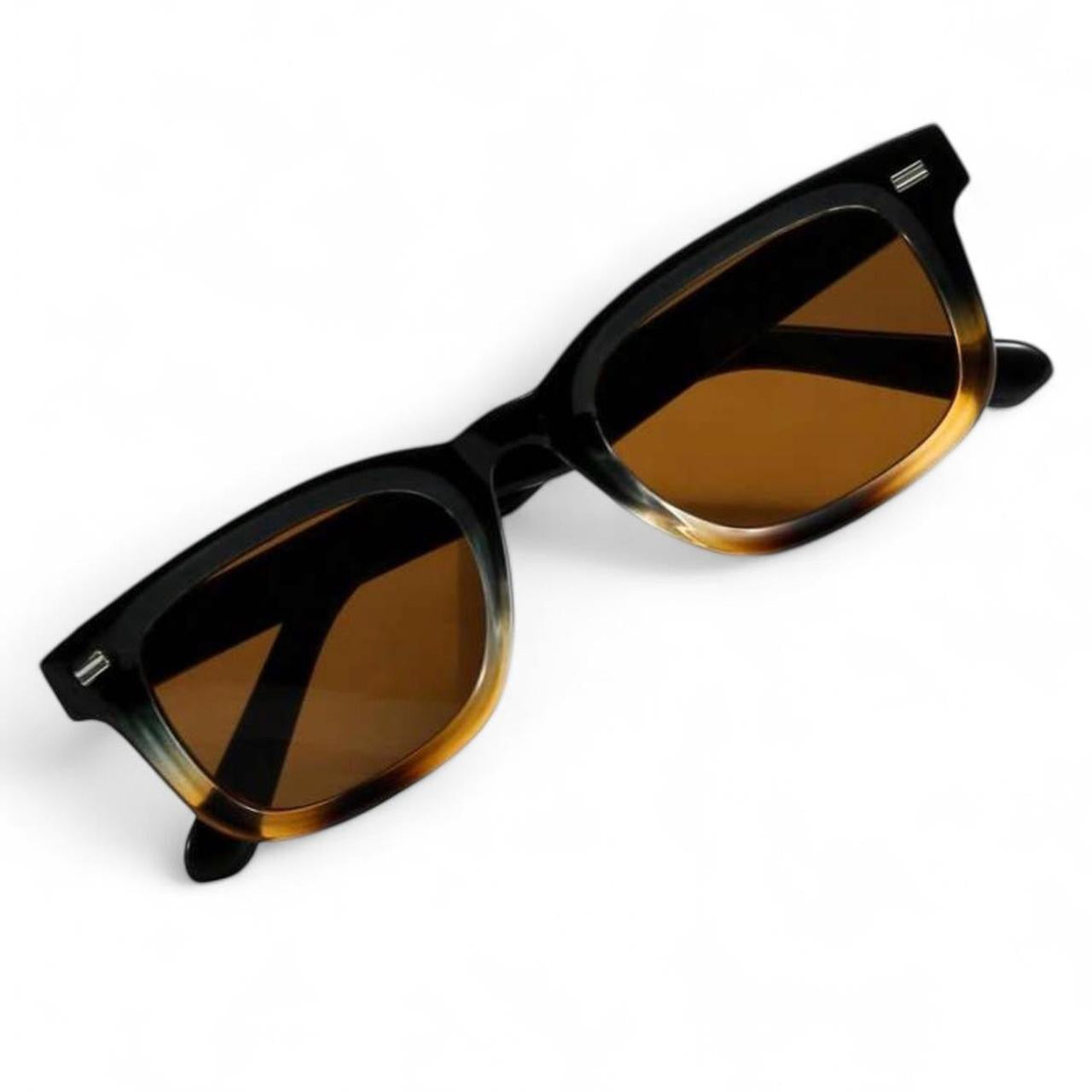 Black & Brown Wayfarer Sunglasses