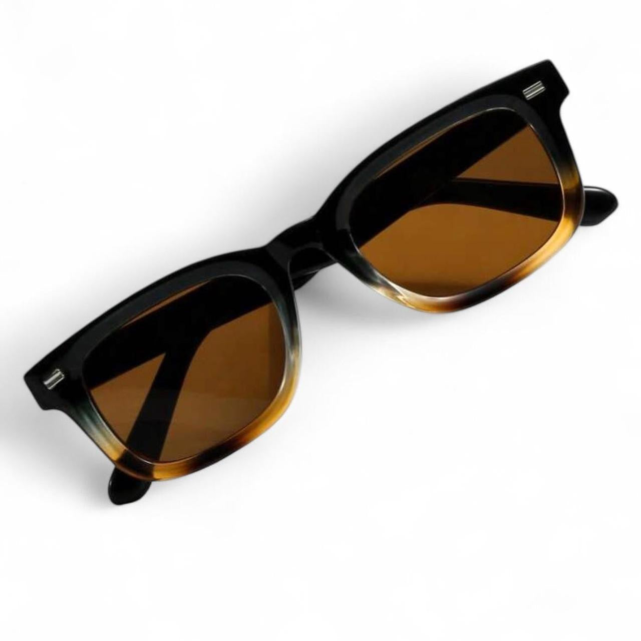 Black & Brown Wayfarer Sunglasses