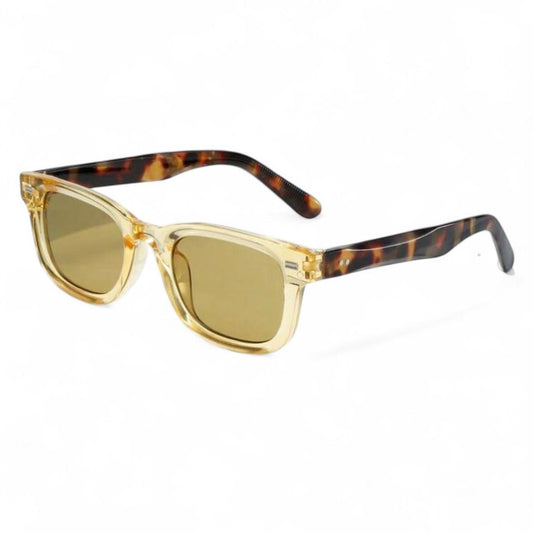 Clear Gold & Tortoise Shell Wayfarer Sunglasses